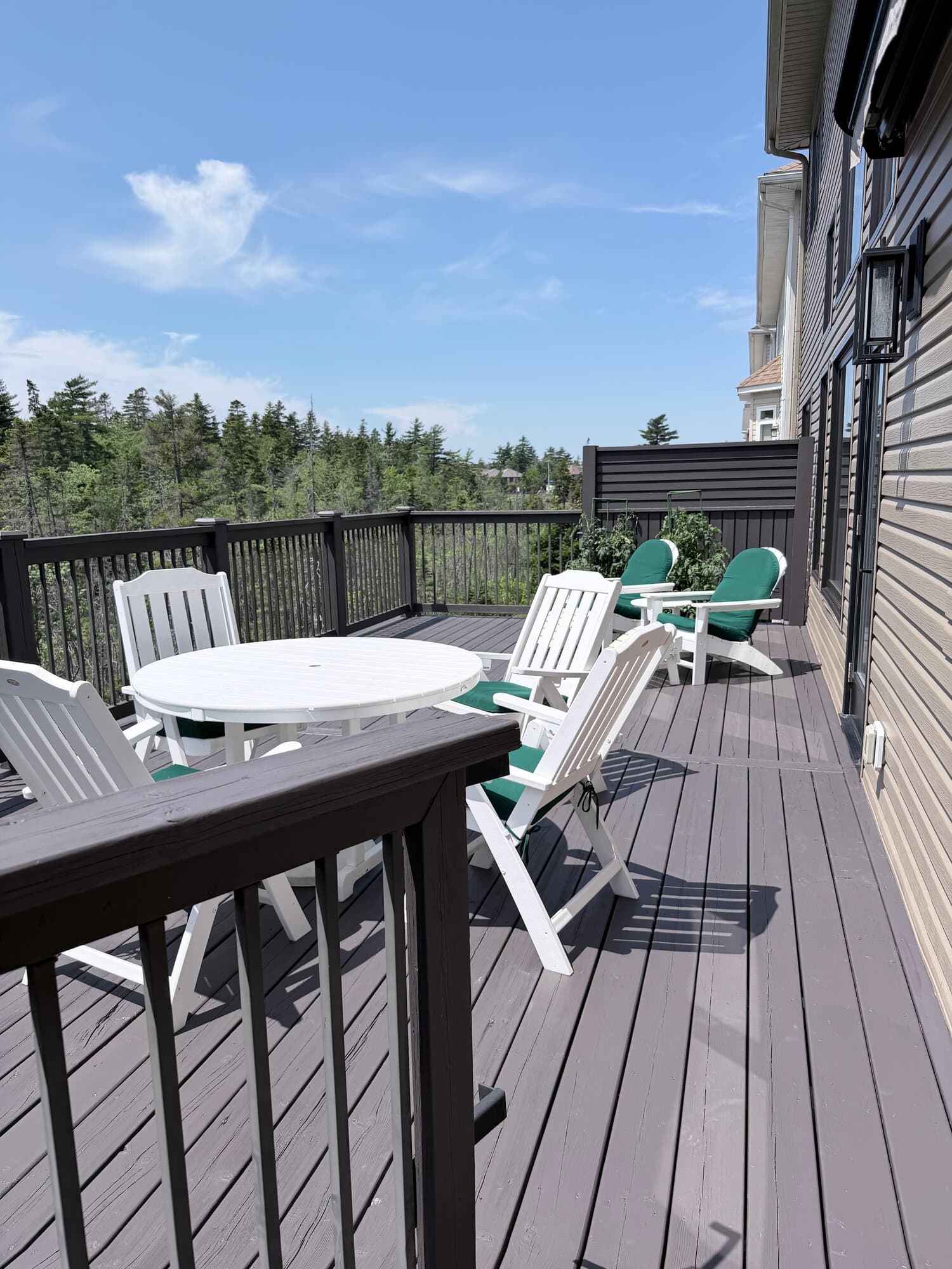 The same deck freshly stained and sealed by ProMax
